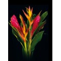 Exotic Bouquets - Red Ginger & Opal Bouquet