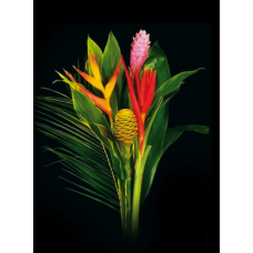 Exotic Bouquets - Tropical Mix 1 Bouquet
